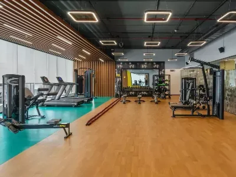 gallery2_677fb06d7e04d_bf6ceab0e9